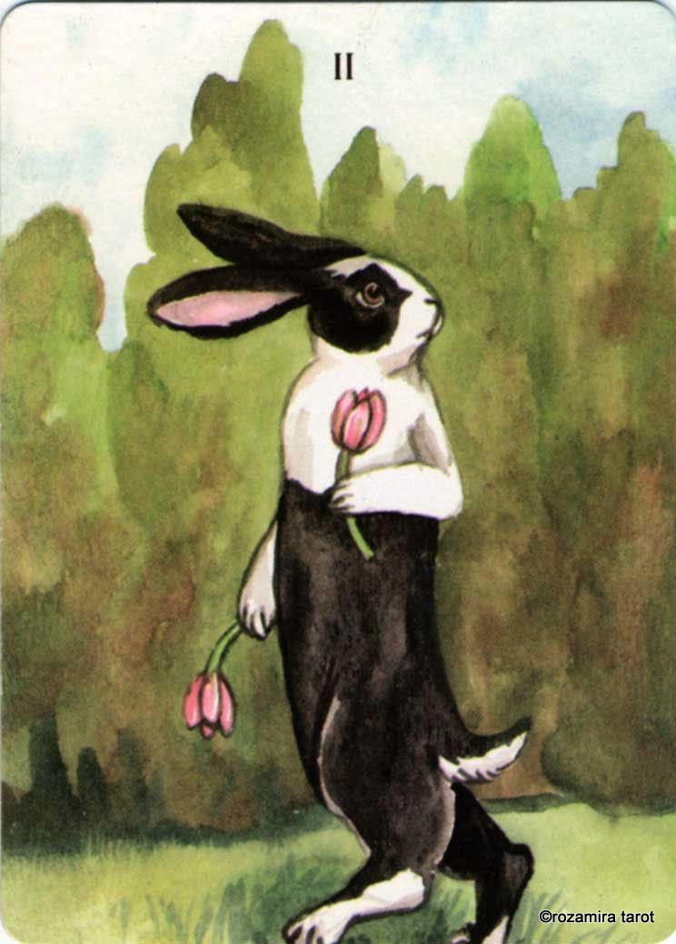 Rabbit Tarot